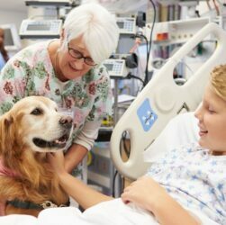 How can Animal Assisted Therapy Help