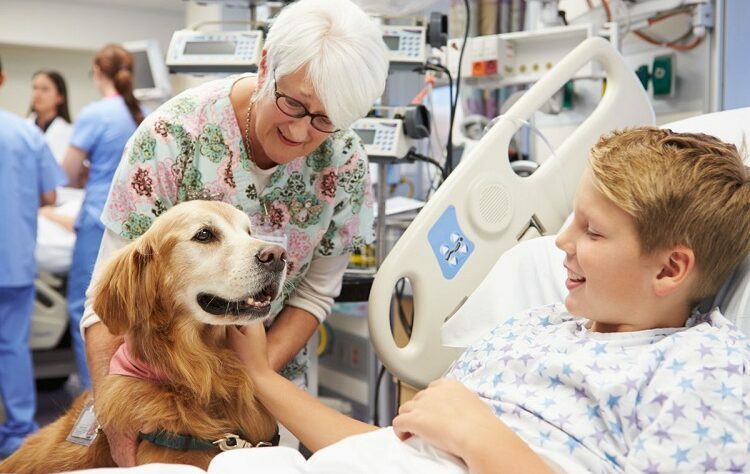 How can Animal Assisted Therapy Help