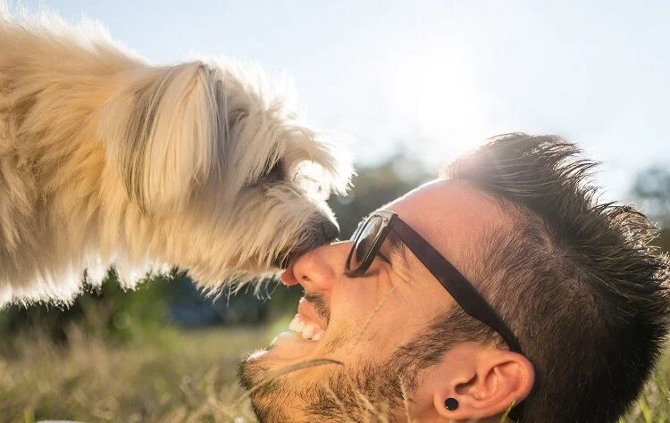 3 Things to Know Before Owning a Dog