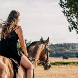 How to Know if You Are Ready to Own a Horse