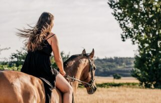 How to Know if You Are Ready to Own a Horse