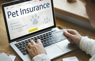 Pet Insurance