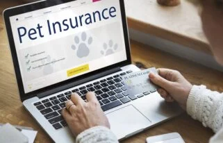 Pet Insurance