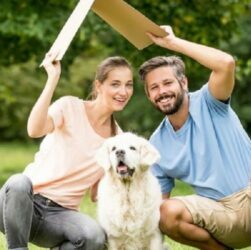 Find A Perfect Home