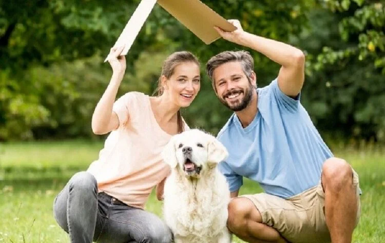 Find A Perfect Home