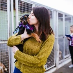 Rescue Dogs