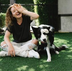 Dogs and Cats