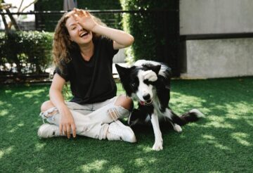 Dogs and Cats