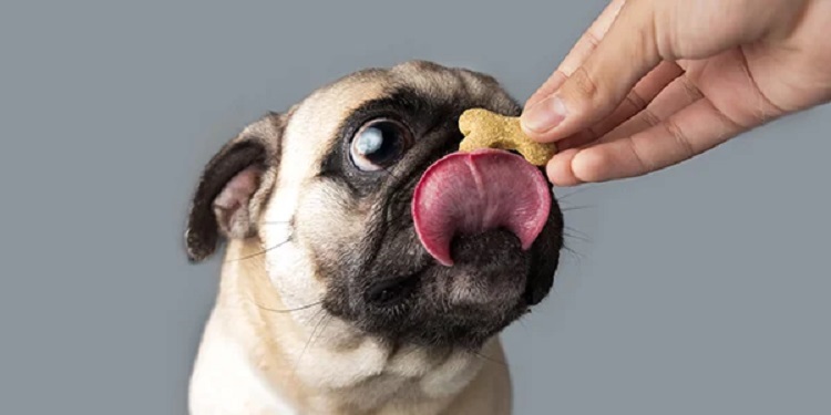 Treats for Dogs